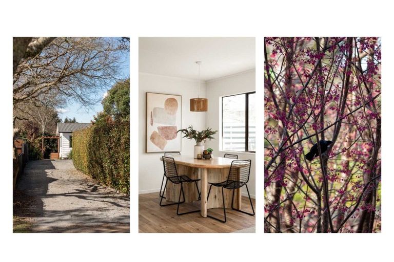 Photo of property in 14 Hastings Street, Te Puke, 3119