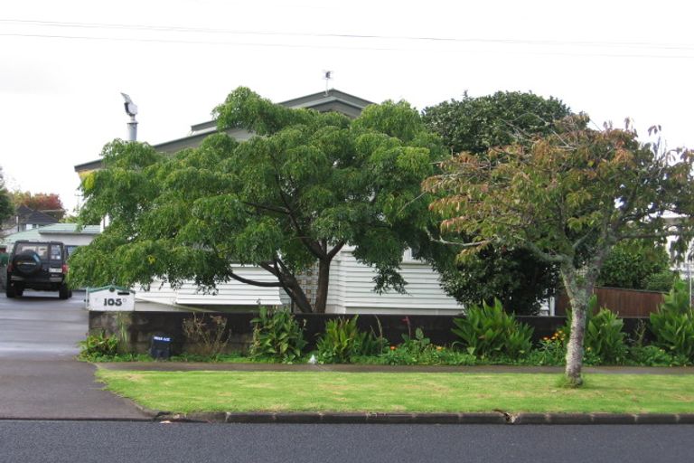 Photo of property in 105 Fitzroy Street, Papatoetoe, Auckland, 2104