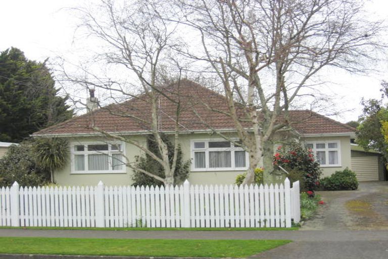 Photo of property in 57 Salisbury Street, Levin, 5510