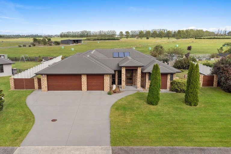 Photo of property in 19 Ridgeview Drive, Te Aroha, 3392