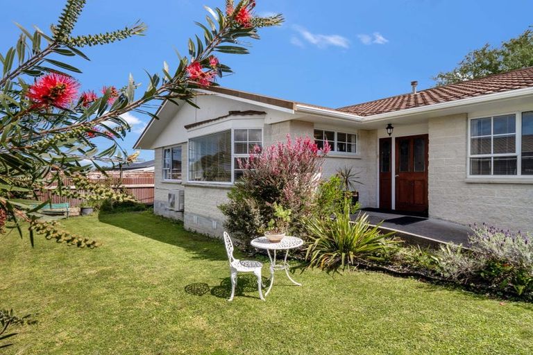 Photo of property in 15 Downes Avenue, Springvale, Whanganui, 4501