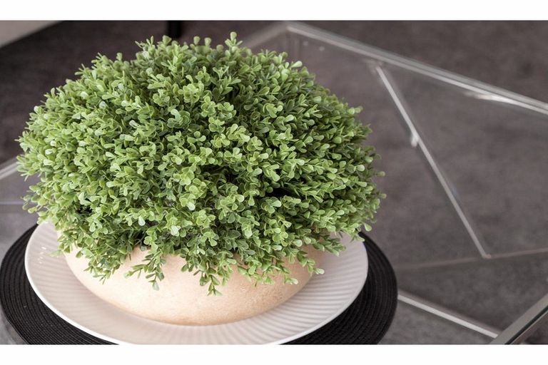 Photo of property in 4/7 Gambia Street, Papanui, Christchurch, 8053