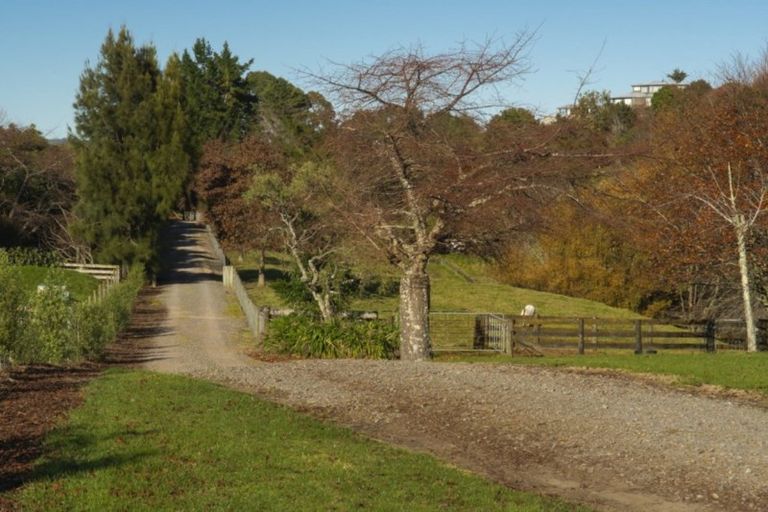 Photo of property in 333 Pahoia Road, Whakamarama, Tauranga, 3172