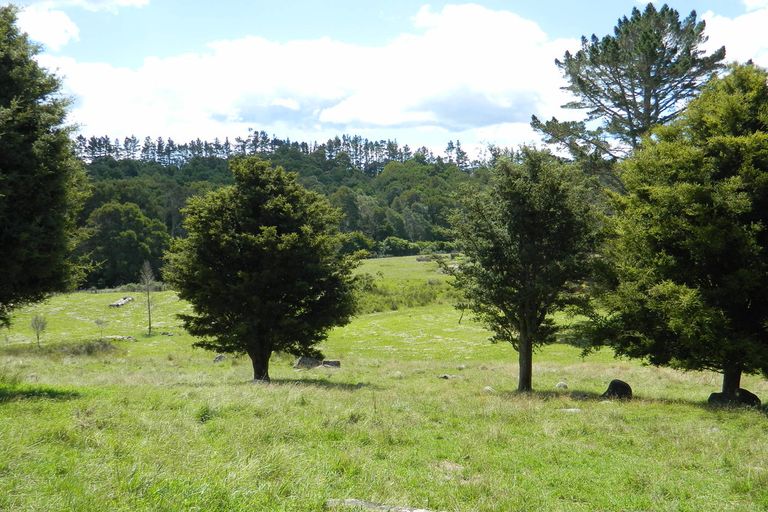 Photo of property in 205a Onekura Road, Waipapa, Kerikeri, 0295