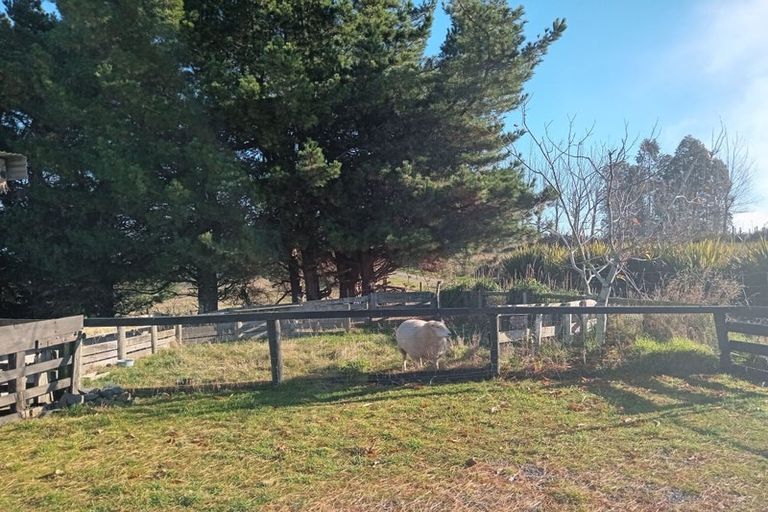 Photo of property in 86 Totara Island Road, Clifton, Balclutha, 9273