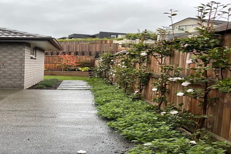 Photo of property in 65 Bert Wall Drive, Omokoroa, 3114