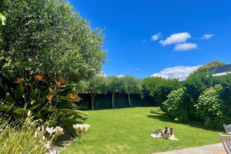 Photo of property in 88 Walmer Road, Point Chevalier, Auckland, 1022