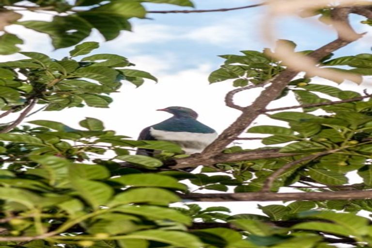 Photo of property in 223 Hibiscus Drive, Orewa, 0931