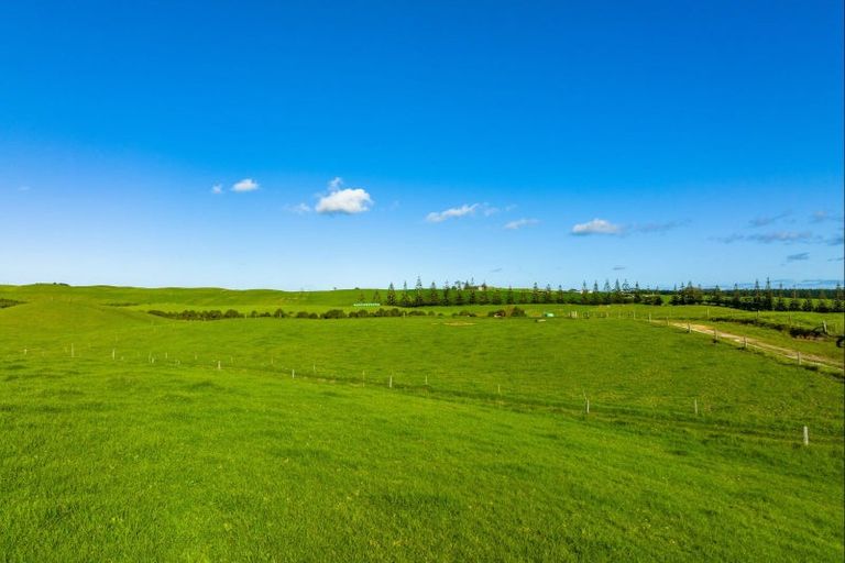 Photo of property in 1000 Redhill Road, Te Kopuru, Dargaville, 0371