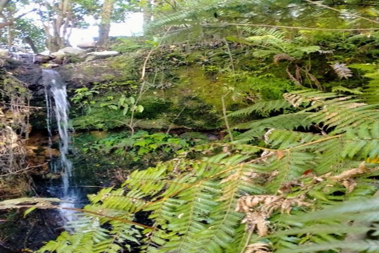 Photo of property in 36 Armstrong Road, Waiotahe, Opotiki, 3198