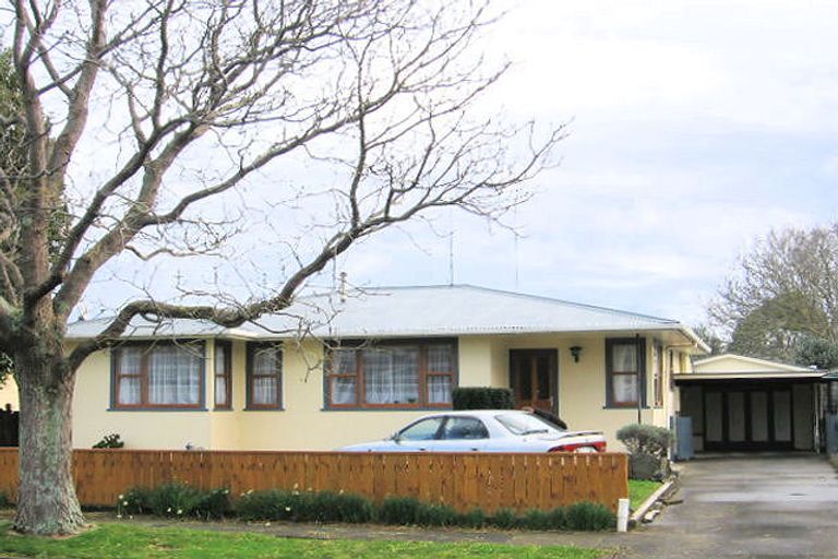 Photo of property in 153 Limbrick Street, Terrace End, Palmerston North, 4410