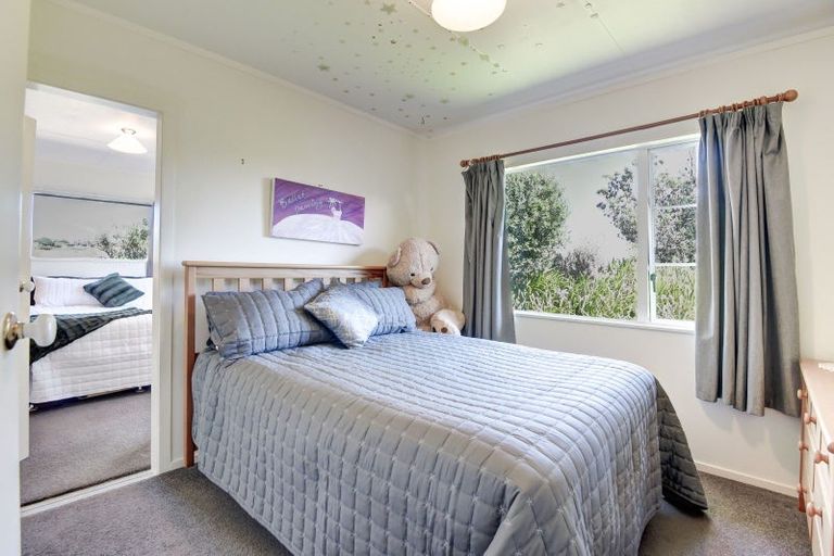 Photo of property in 47 Ngatarua Road, Putiki, Whanganui, 4500