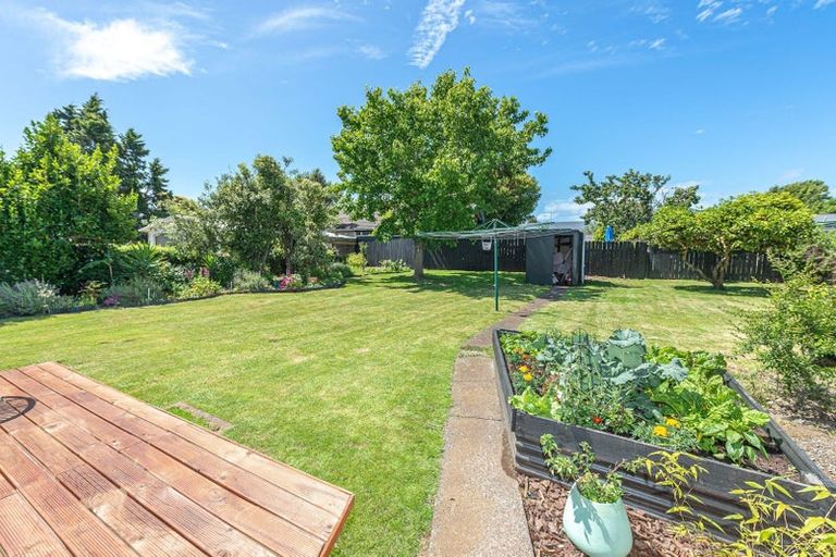 Photo of property in 10 Hadfield Crescent, College Estate, Whanganui, 4500