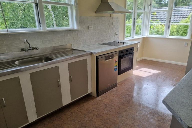 Photo of property in 25 Lowe Street, Liberton, Dunedin, 9010