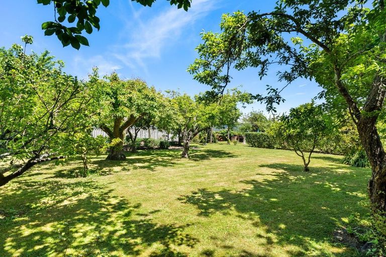 Photo of property in 5 Vivian Street, Inner Kaiti, Gisborne, 4010