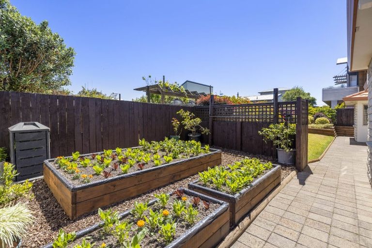 Photo of property in 1 Tui Street, Mount Maunganui, 3116