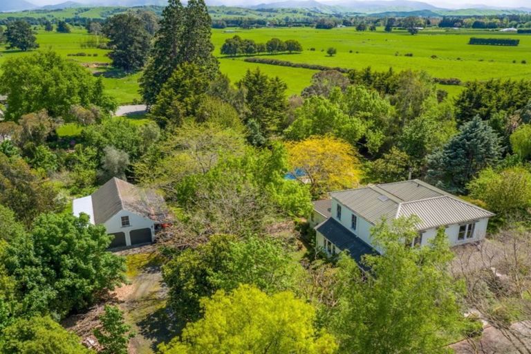 Photo of property in 61 Kibblewhite Road, Upper Plain, Masterton, 5888