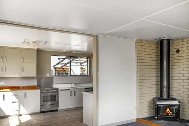 Photo of property in 29 Hopkins Road, Twizel, 7901