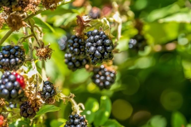 Photo of property in 46 Pekanga Road, Normandale, Lower Hutt, 5010