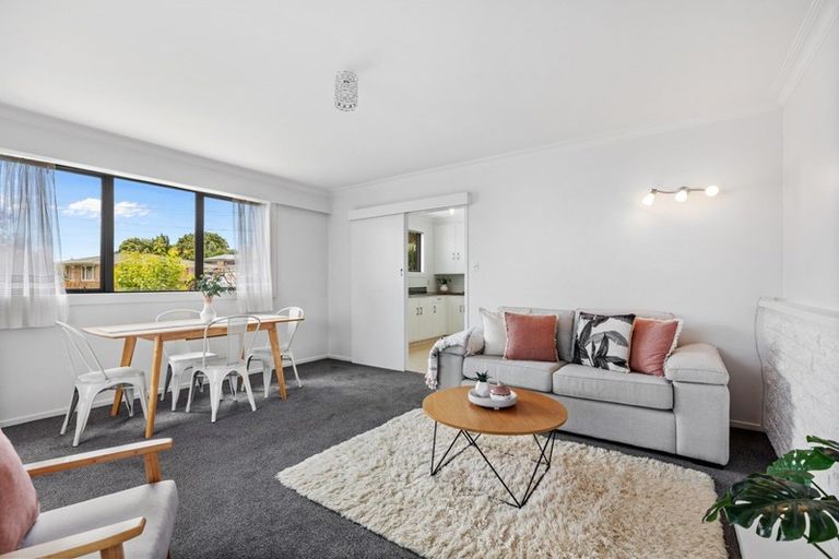 Photo of property in 29 Collingwood Street, Judea, Tauranga, 3110