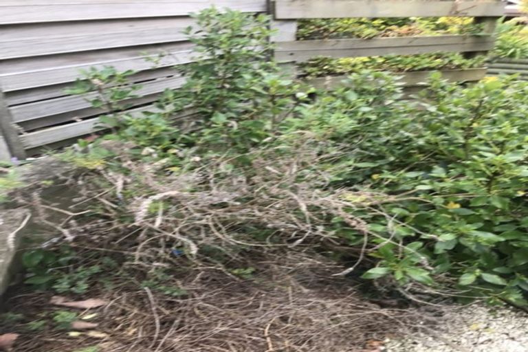 Photo of property in 43b Swann Beach Road, Stanmore Bay, Whangaparaoa, 0932