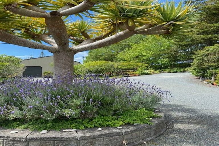 Photo of property in 172 Glenmore Road, Coatesville, Albany, 0793