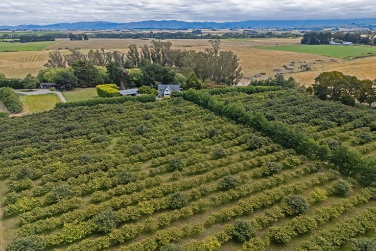 Photo of property in 120 Summerleaze Road, Pareora West, Timaru, 7971