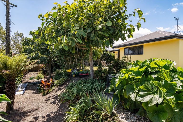 Photo of property in 12 Phoebe Place, Richmond, 7020