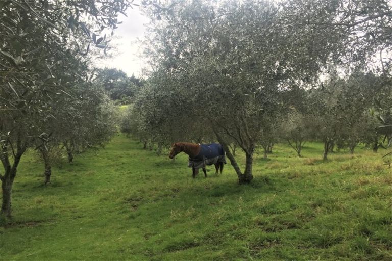 Photo of property in 4560 Pouto Road, Pouto, Te Kopuru, 0391