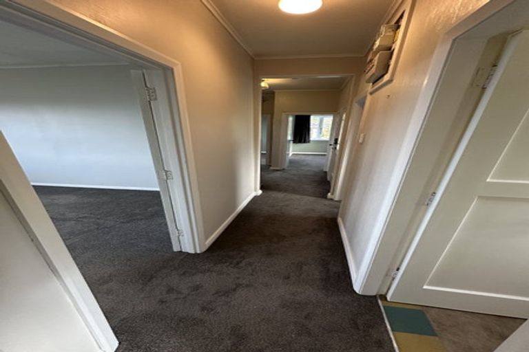 Photo of property in 42 Greenhill Avenue, Wakari, Dunedin, 9010