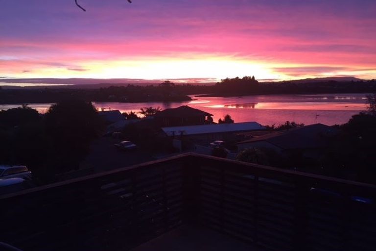 Photo of property in 84b Haukore Street, Hairini, Tauranga, 3112