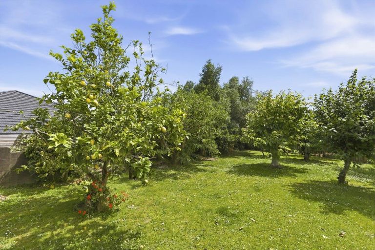 Photo of property in 6 Awatea Street, Levin, 5510