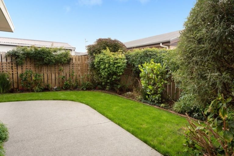 Photo of property in 49c Coopers Road, Gate Pa, Tauranga, 3112