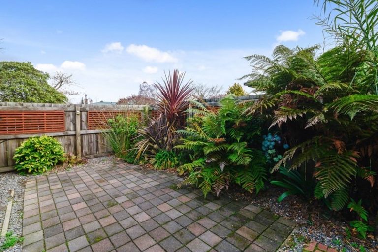 Photo of property in 59a Elizabeth Street, Victoria, Rotorua, 3010