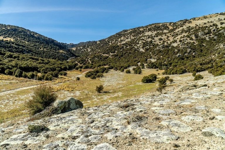 Photo of property in 191 Lakefront Terrace, Northburn, Cromwell, 9383