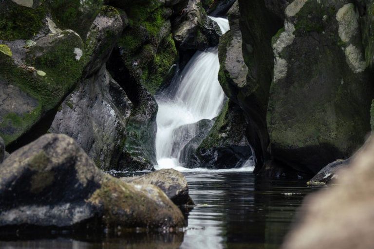 Photo of property in 67a Whau Valley Road, Whau Valley, Whangarei, 0112