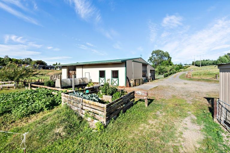 Photo of property in 48 Moxham Road, Te Awamutu, 3879