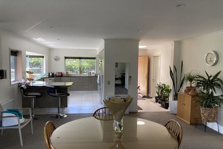 Photo of property in 53 Strowan Road, Strowan, Christchurch, 8052