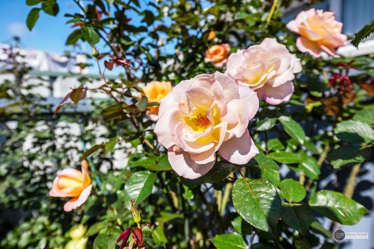 Photo of property in 1/593 High Street, Boulcott, Lower Hutt, 5010