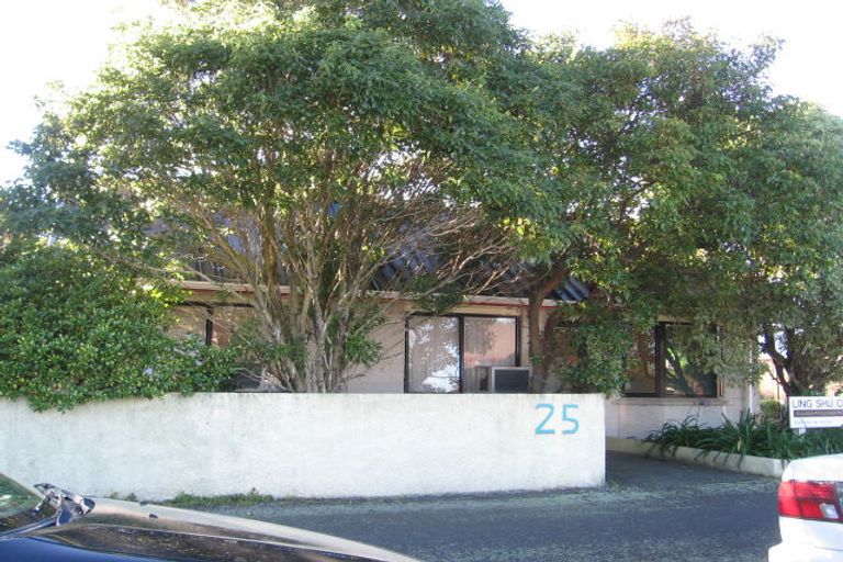Photo of property in 25 Albert Street, Palmerston North, 4414