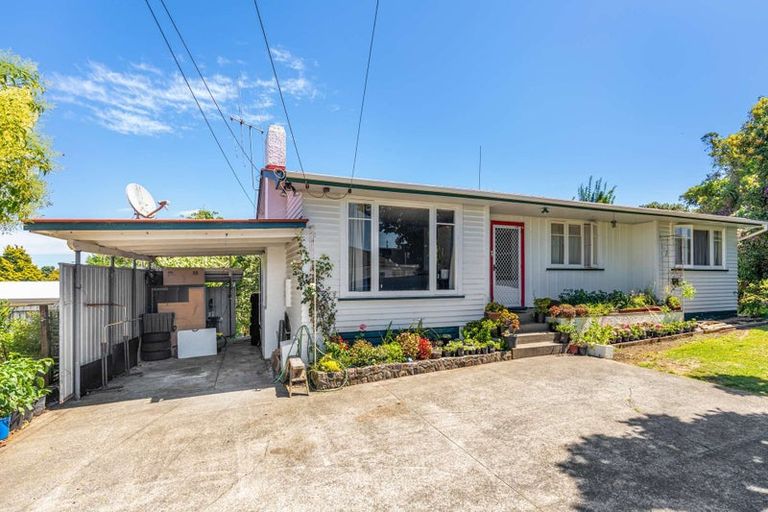 Photo of property in 21 Carey Street, Maeroa, Hamilton, 3200