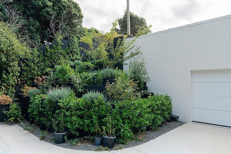 Photo of property in 58 Ames Street, Paekakariki, 5034