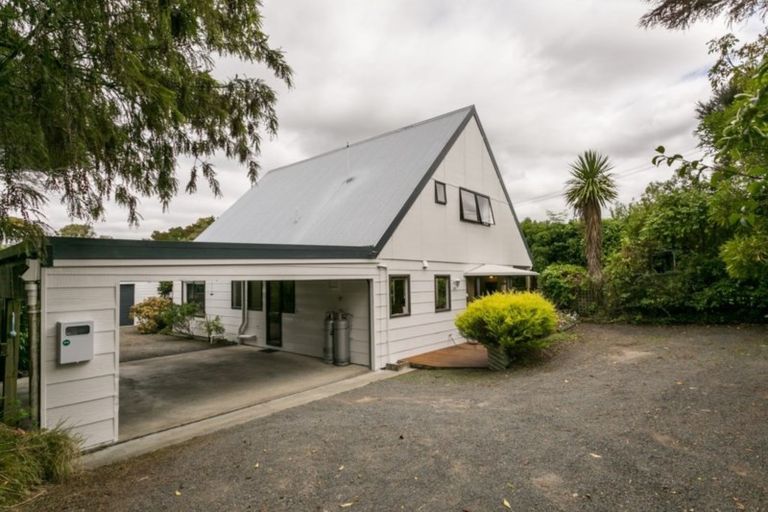 Photo of property in 25 Tanner Street, Havelock North, 4130