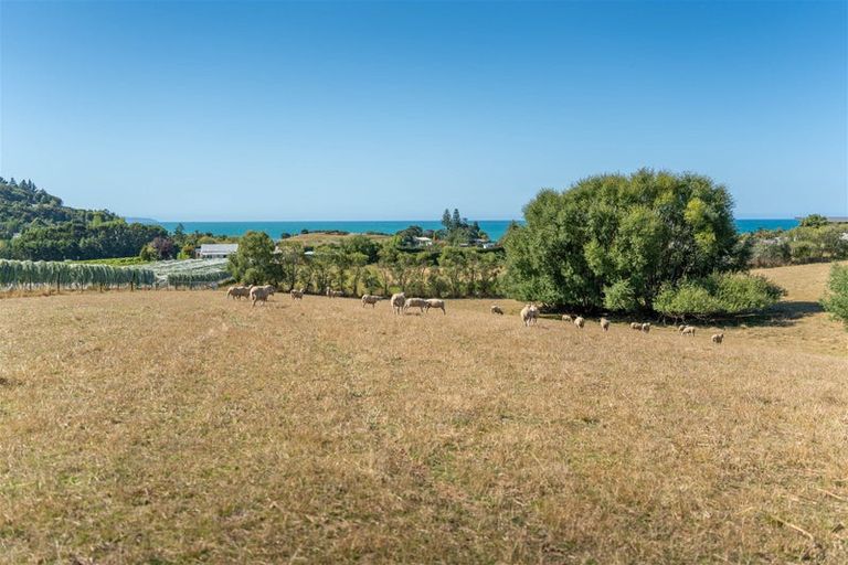 Photo of property in 50 Cliff Road, Tasman, Upper Moutere, 7173