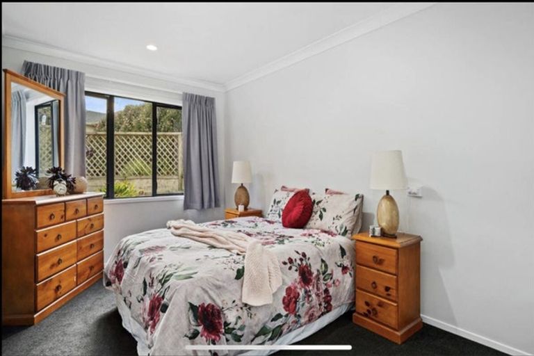 Photo of property in 14 Guildford Place, Bethlehem, Tauranga, 3110