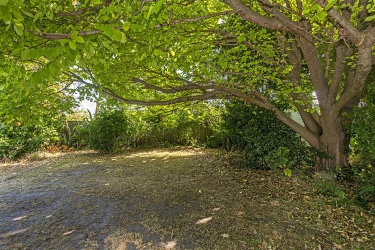 Photo of property in 8 Grundy Street, Mangapapa, Gisborne, 4010