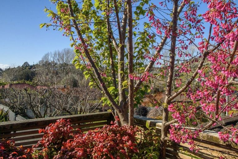 Photo of property in 10 Windover Rise, Bethlehem, Tauranga, 3110