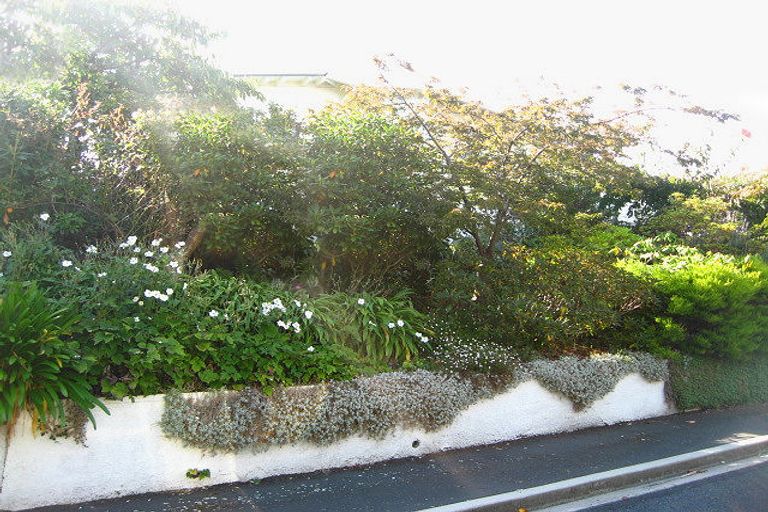 Photo of property in 75 Craigleith Street, North East Valley, Dunedin, 9010