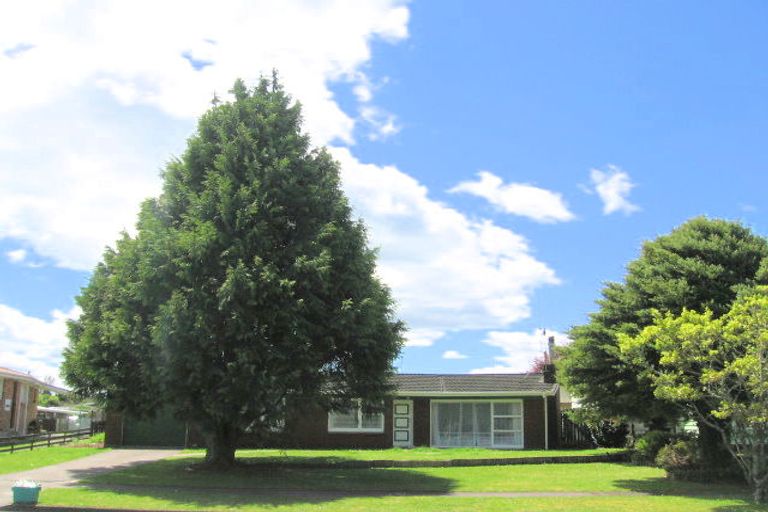 Photo of property in 14 Matai Avenue, Matamata, 3400