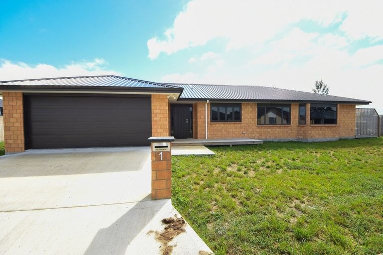 Photo of property in 1 Molesworth Street, Carterton, 5713